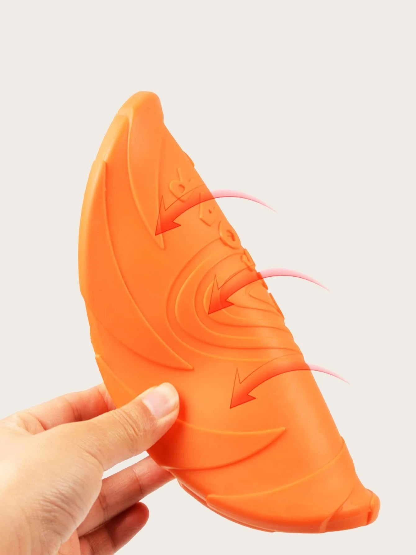 Hundefrisbee Training