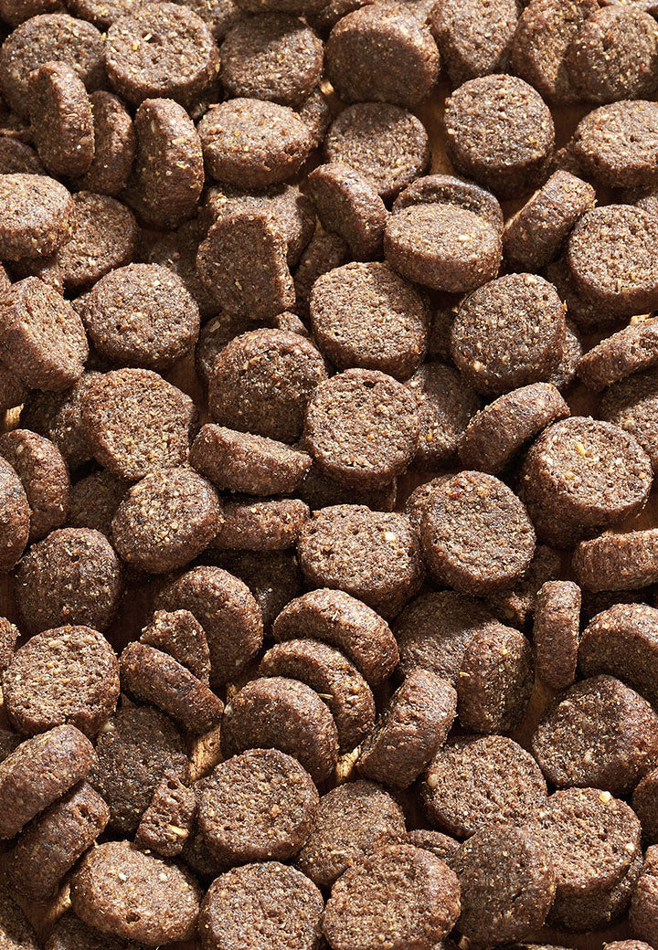 DOG LOW CARB bei Diabetes mellitus