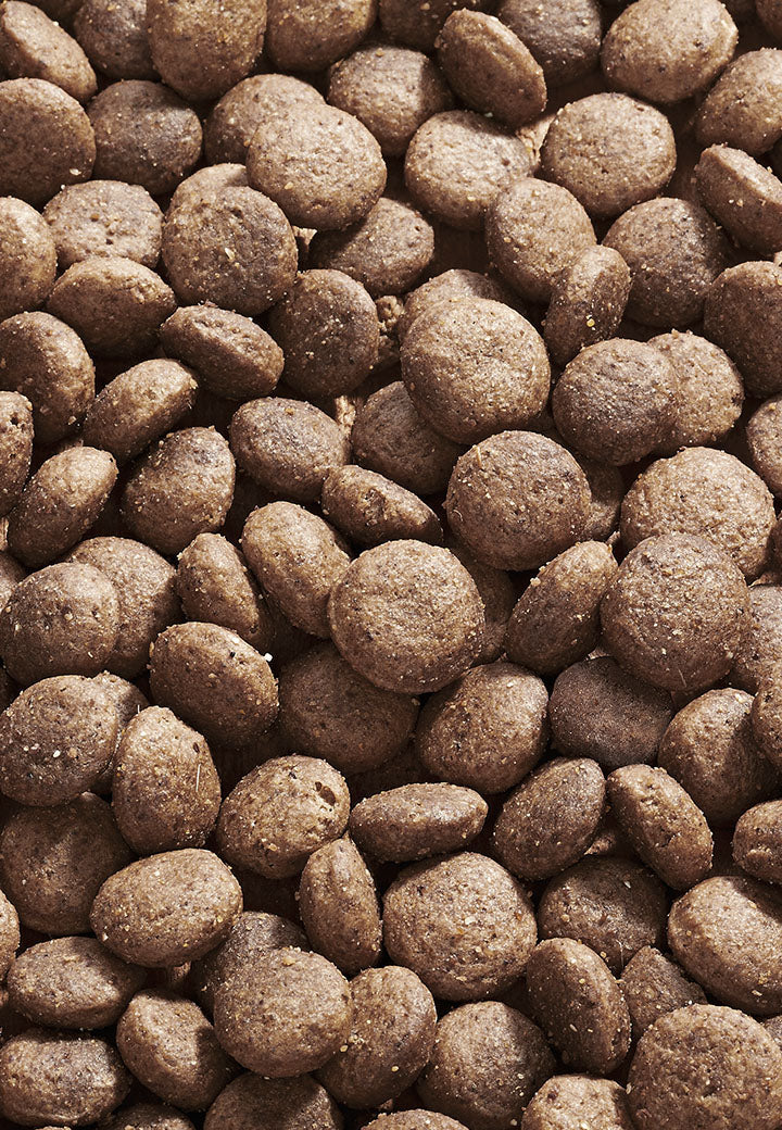 DOG INTESTINAL bei Resorptionsstörungen & unzureichender Verdauung