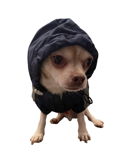 Regenmantel mit Kapuze, navy