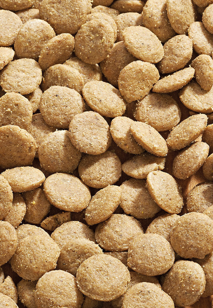 DOG LOW PROTEIN bei chronischer Niereninsuffizienz